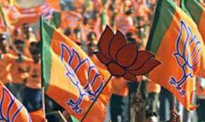 भाजपा की बड़ी जीत- India TV Hindi