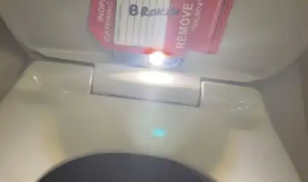 विमान के शौचालय में लगा दिया स्पाई कैमरा, किशोरी का न्यूड वीडियो बनने के बाद मचा हड़कंप; जानें पूरा मामला