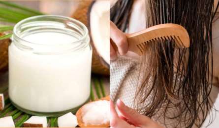 क्या सर्दियों में बालों में नारियल तेल लगाना चाहिए? जानें इस मौसम में बालों के लिए कौन सा तेल होता है बेस्ट?