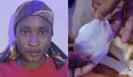 ब्रेड के अंदर छिपाकर हो रही कोकीन की तस्करी, क्राइम ब्रांच ने नाइजीरियाई महिला को पकड़ा, देखें Video