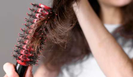 कंघी करते समय बहुत ज्यादा उलझते हैं बाल, तो लगाएं ये हेयर पैक, बालों को बनाए रेशमी और चमकदार