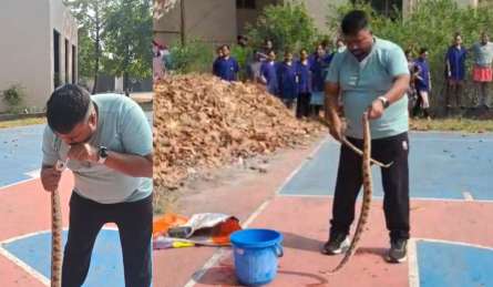 खतरनाक सांप रसेल वाइपर को शख्स ने अपने मुंह से CPR दिया, बचाई जान, VIDEO हैरान कर देगा 