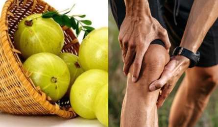 शुगर से लेकर गठिया तक, सेहत से जुड़ी कई समस्याओं में कारगर हरे रंग की औषधि, रोज करें सेवन