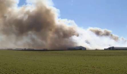 ओहायो के एक फार्म में लगी भयानक आग, करीब 6000 जानवरों की हुई मौत; मीलों दूर तक दिखा धुएं का गुबार