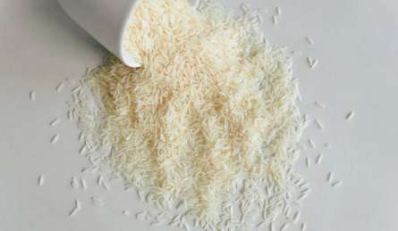 Vastu Tips: भाग्य के बंद दरवाजे खोल देगा ये सरल उपाय, रसोई में रखें चावल के डिब्बे में छिपा दें ये चीज