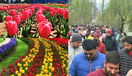 एशिया का सबसे बड़ा ट्यूलिप गार्डन खुला, जम्मू कश्मीर में सैलानियों की उमड़ी भीड़, 18 लाख से ज्यादा ट्यूलिप के फूल