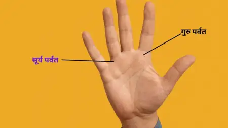 Palmistry: सरकारी क्षेत्र में पाएंगे नौकरी अगर हथेली में सूर्य और गुरु पर्वत पर हैं ये निशान
