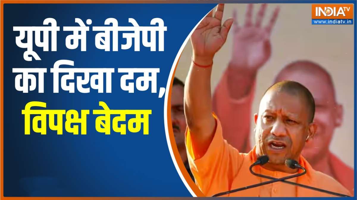 UP Municipal Election Results 2023 BJP wins all 17 mayor seats India TV Hindi