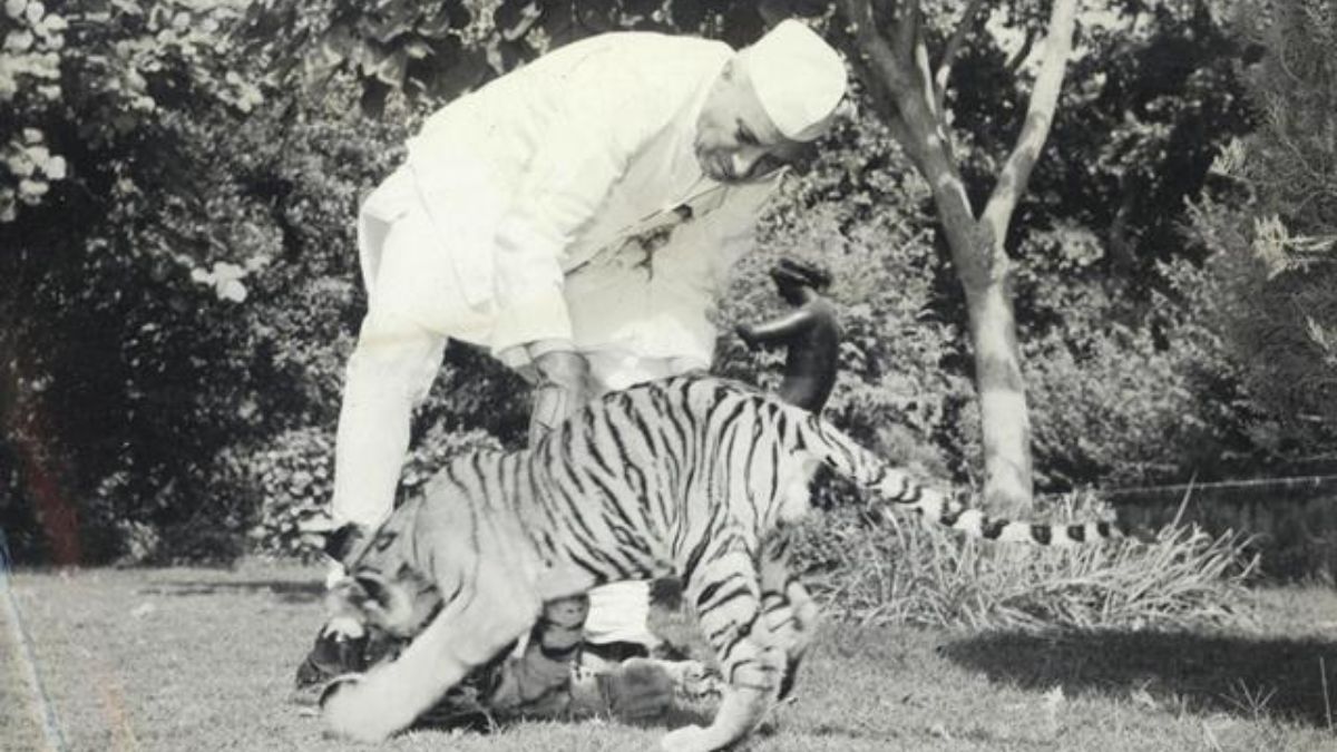 प्रधानमंत्री रहते हुए कई बार हुई थी नेहरू की हत्या की कोशिश, जानें कैसे बची थी जान