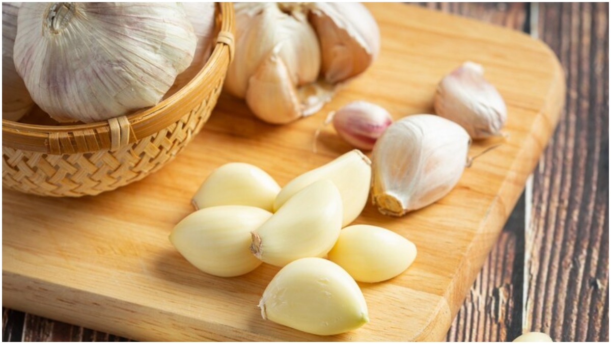          रखे-रखे पीला क्यों पड़ने लगता है लहसुन, जान लीजिए इसे स्टोर करने का सही तरीका क्या है?