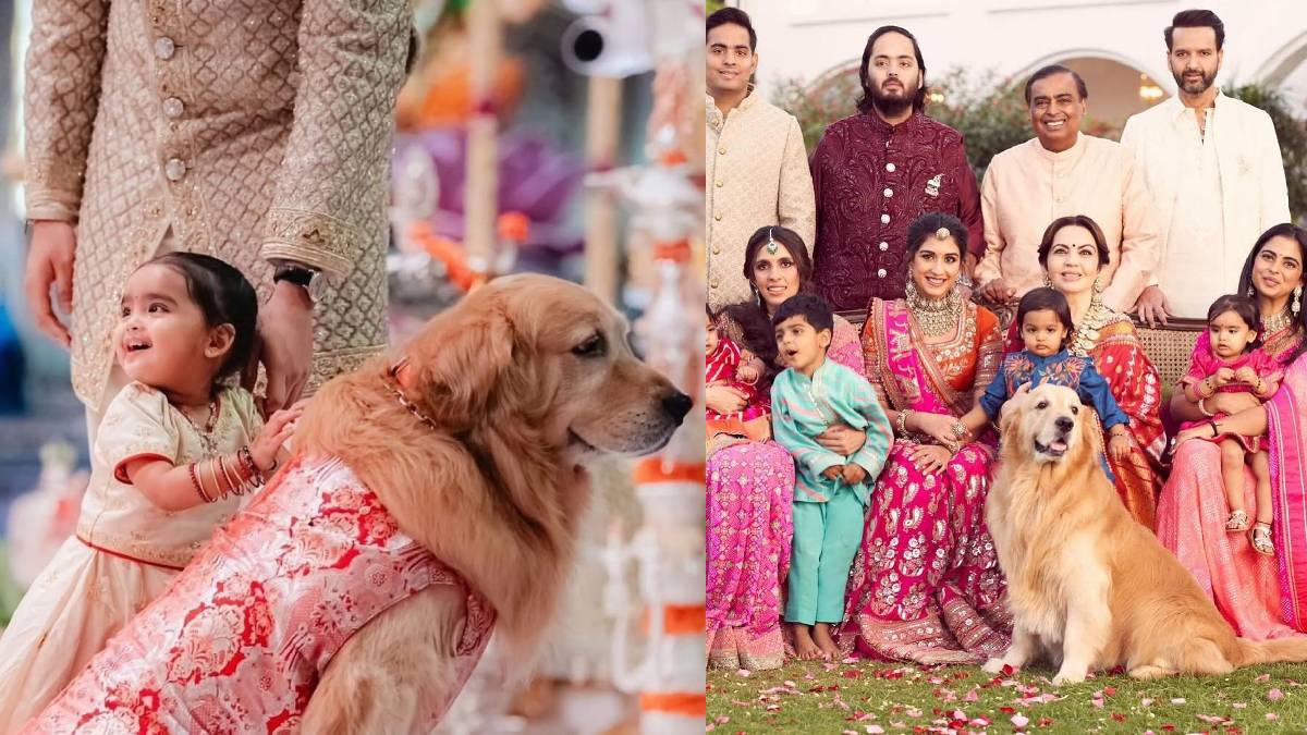 लग्जरी गाड़ी में सैर, डिजाइनर कपड़े, कुछ ऐसी थी अंबानी फैमिली के पेट डॉग हैप्पी की ठाठ-बाट वाली लैविश लाइफ