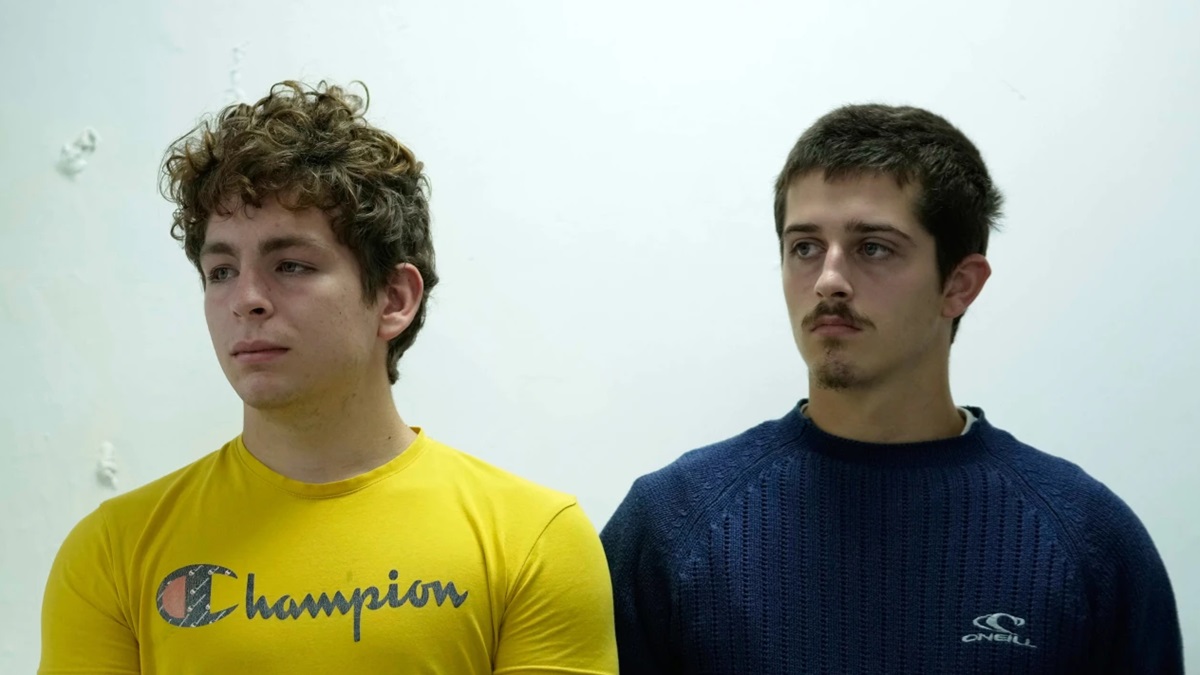 केन्या में 2 लड़कों के पास से मिली हैं 5000 चींटियां, जानें अब क्या होगा