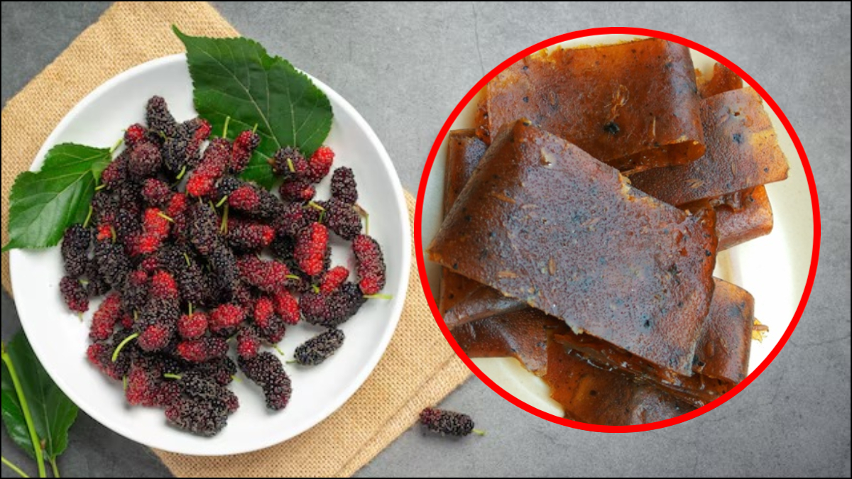          शहतूत पापड़ जरूर बनाकर खाएं, खाते ही बचपन की खट्टी मीठी यादें हो जाएंगी ताजा, जानिए रेसिपी