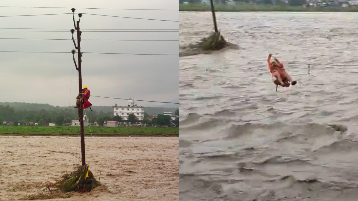 देहरादून में उफनती नदी में फंसा बच्चा, खौफनाक मंजर देख सबके होश फाख्ता, NDRF ने यूं बचाया; देखें VIDEO