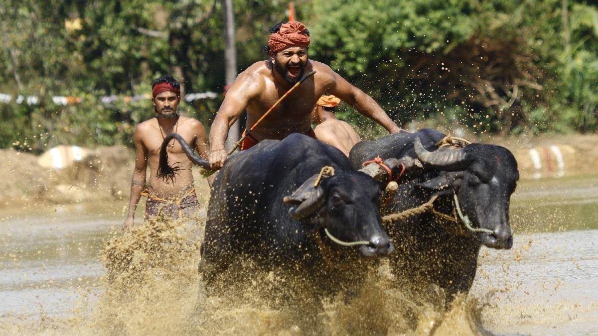 सिर्फ 16 करोड़ बजट और सटासट छाप डाले 407 करोड़, 2 नेशनल अवॉर्ड जीतने वाली इस फिल्म के प्रीक्वल से आएगा कमाई का तूफान