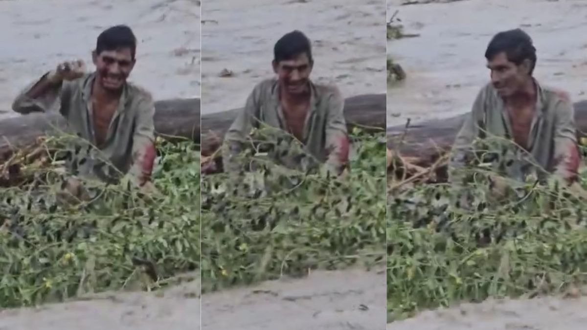 डूबते को तिनके का सहारा, सैलाब में टहनी पकड़कर दूर से बहता हुआ आ रहा था, बचा ली गई जान; सामने आया VIDEO
