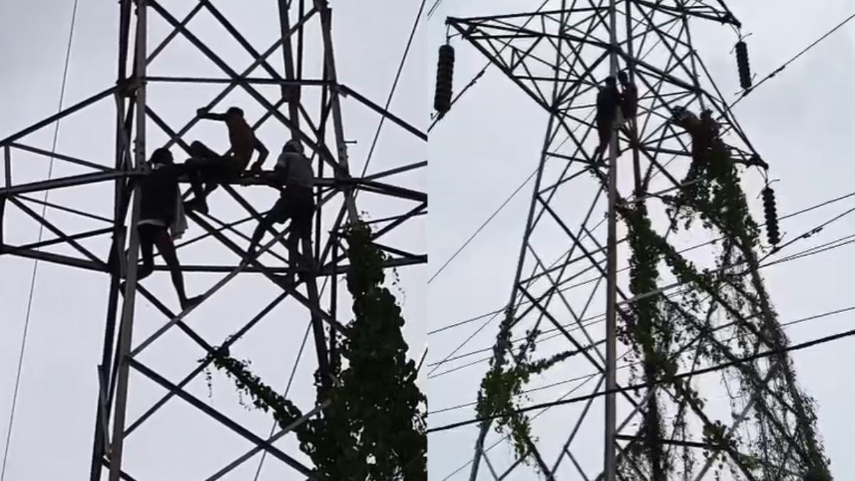 पत्नी के वियोग में हाई टेंशन बिजली पोल पर चढ़ गया युवक, डेढ़ घंटे तक किया ड्रामा; सामने आया वीडियो