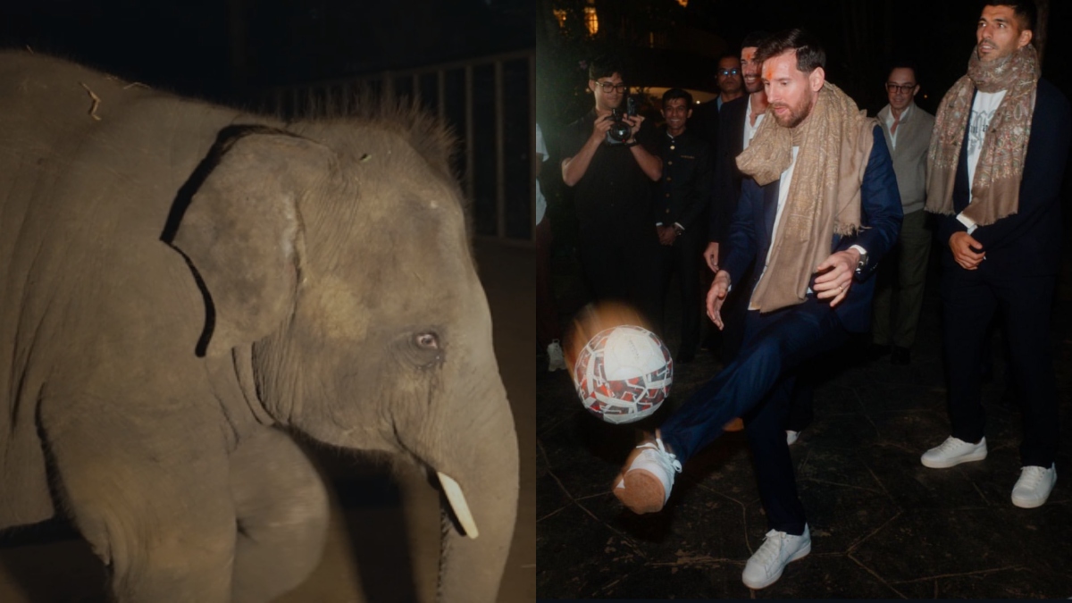 एक ऐसा मैच है जिसे आप फिर कभी नहीं देख पाएंगे, मेसी और मानेकलाल ने वनतारा में एक साथ बिताए मस्ती भरे पल