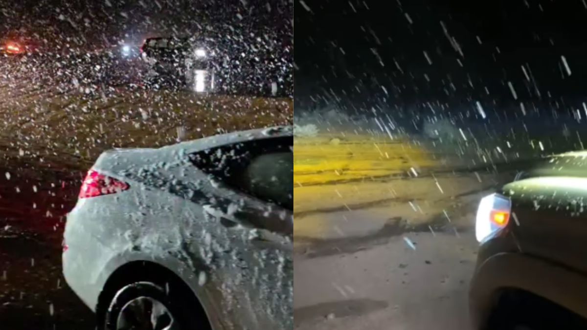 सऊदी अरब के रेगिस्तान में बर्फबारी ने चौंकाया, वीडियो देख लोग पूछ बैठे- अरे! AI है क्या?