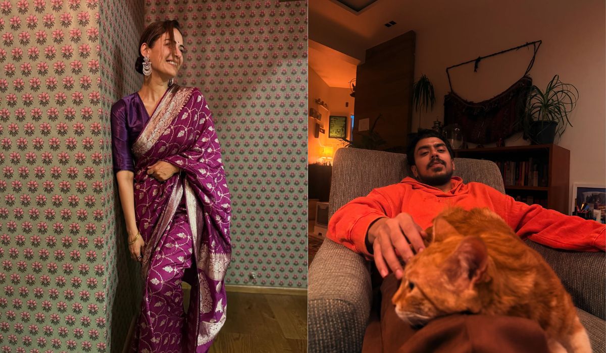 2025 में ये सितारे बने ओटीटी स्टार, इन एक्टर-एक्ट्रेस की बदली किस्मत