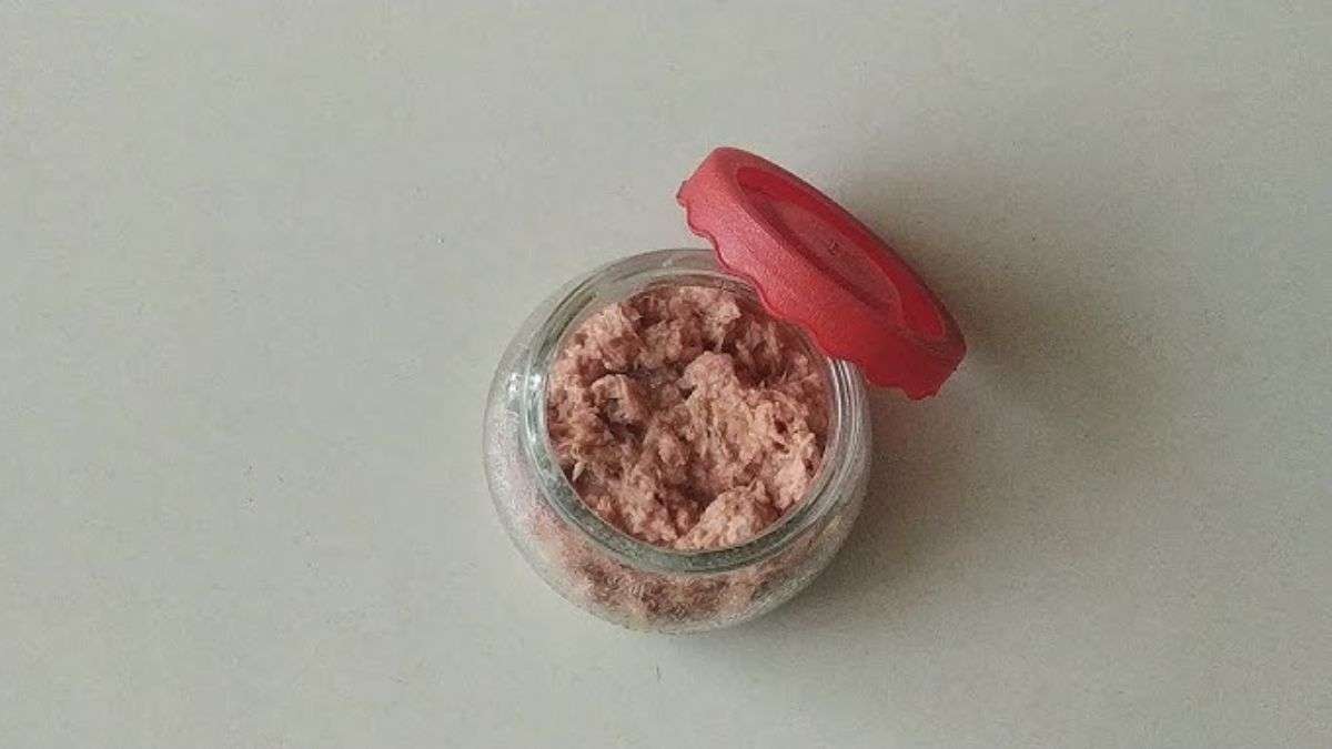 हर वक्त रहती है गैस और अपच की समस्या, तो घर पर बनाएं चटपटा अदरक-नींबू पाचक, नोट करें रेसिपी