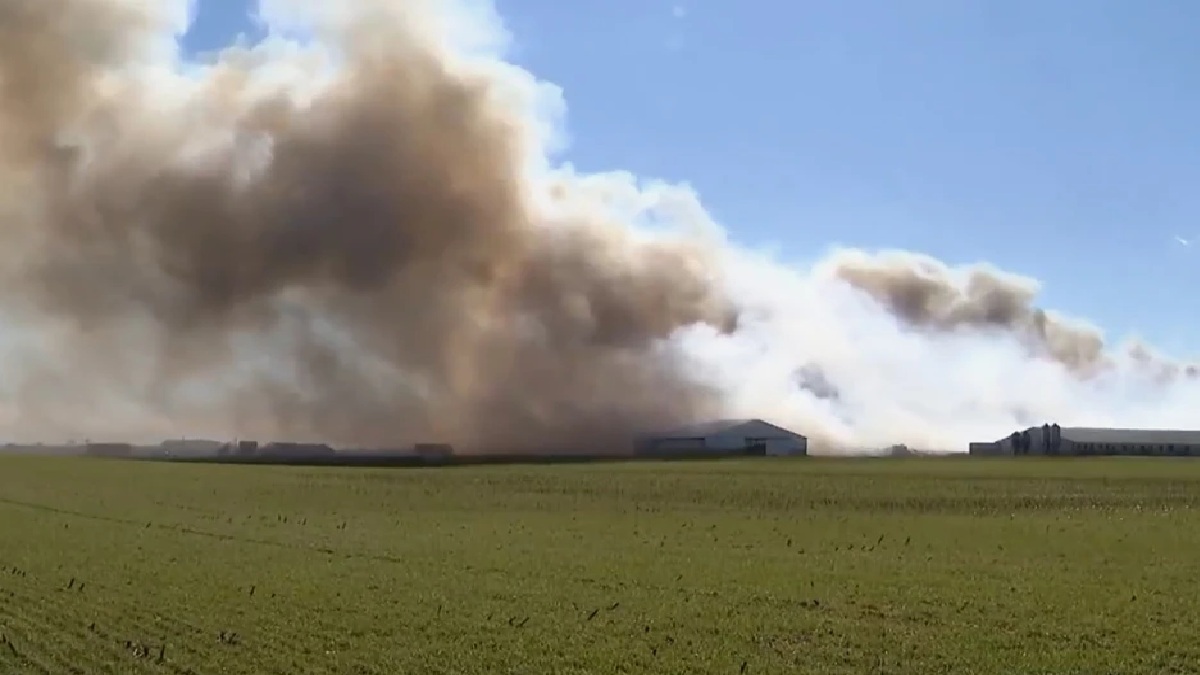 ओहायो के एक फार्म में लगी भयानक आग, करीब 6000 जानवरों की हुई मौत; मीलों दूर तक दिखा धुएं का गुबार