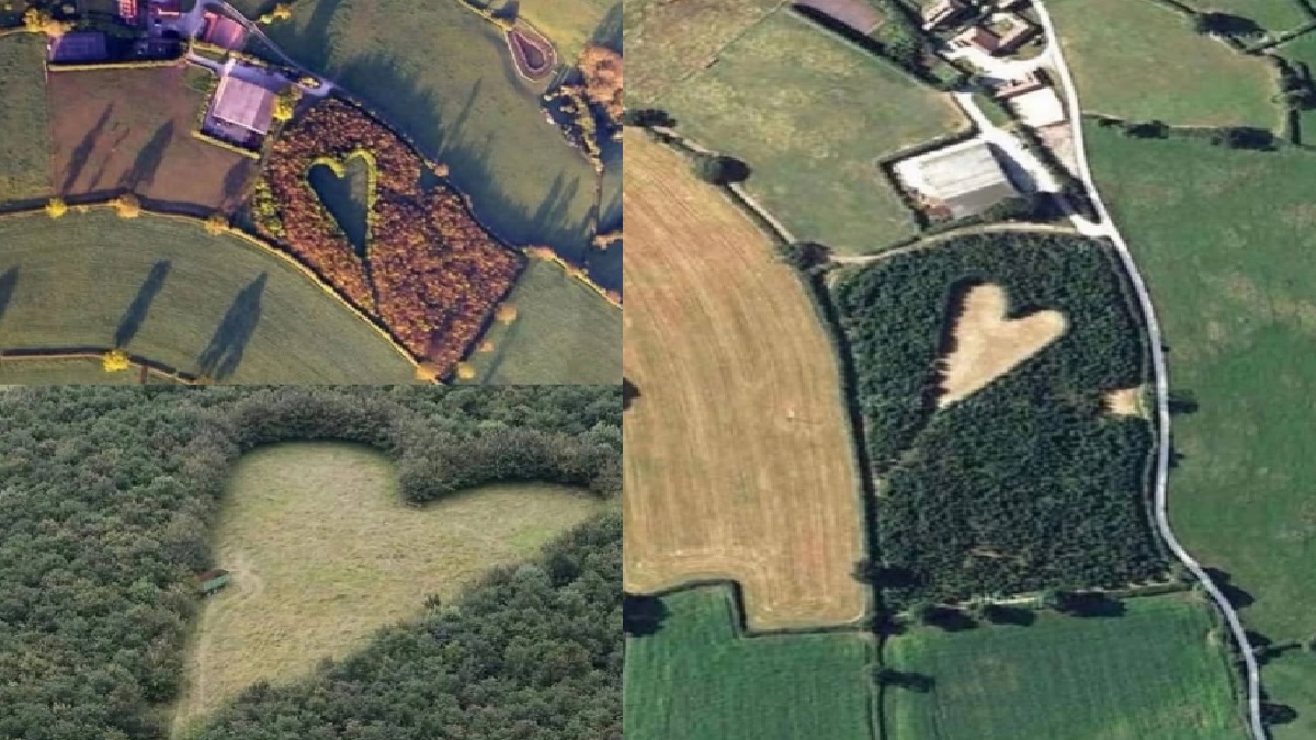 पत्नी की मौत के बाद टूट गया पति का दिल, फिर एक आइडिया ने बदल दी तस्वीर; अमर कर दी अपनी प्रेम कहानी