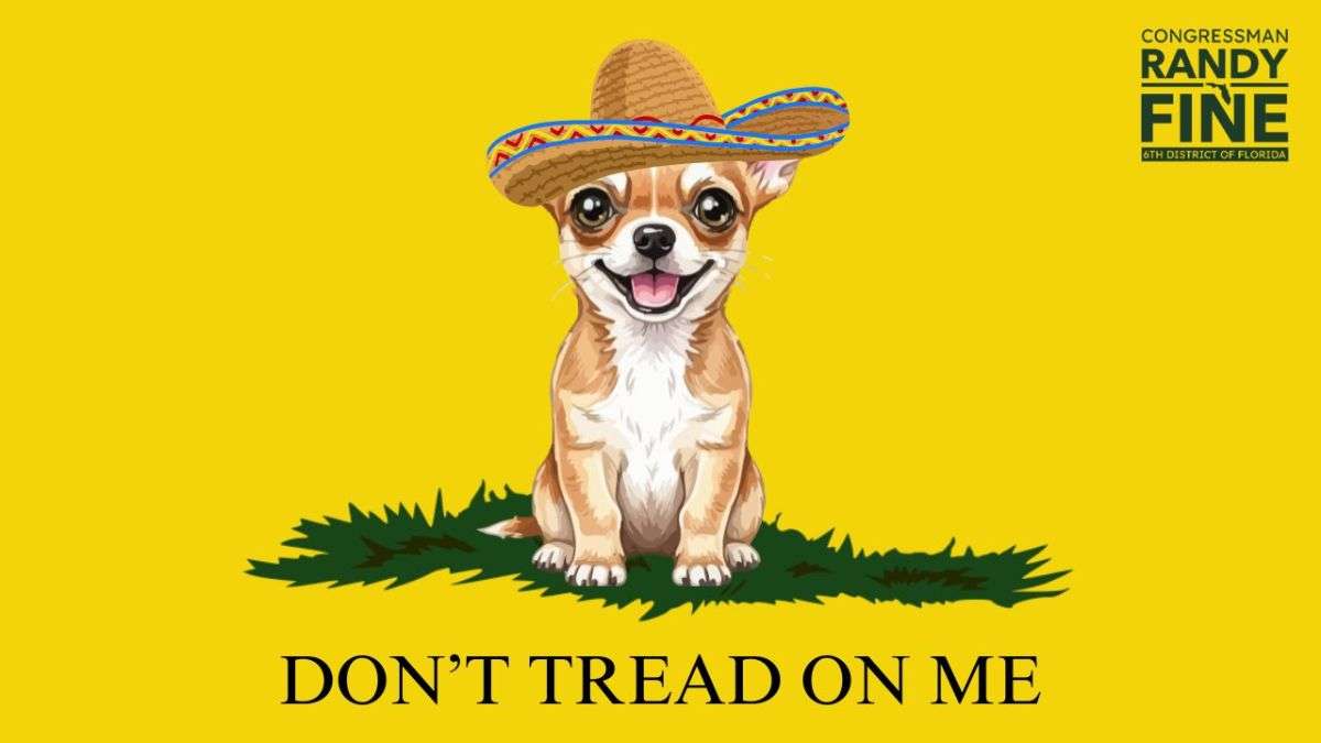 "मुसलमानों से कुत्ते बेहतर", अमेरिकी कांग्रेसमैन रैंडी फाइन के X पर विवादित पोस्ट ने लगाई आग; मचा बवाल