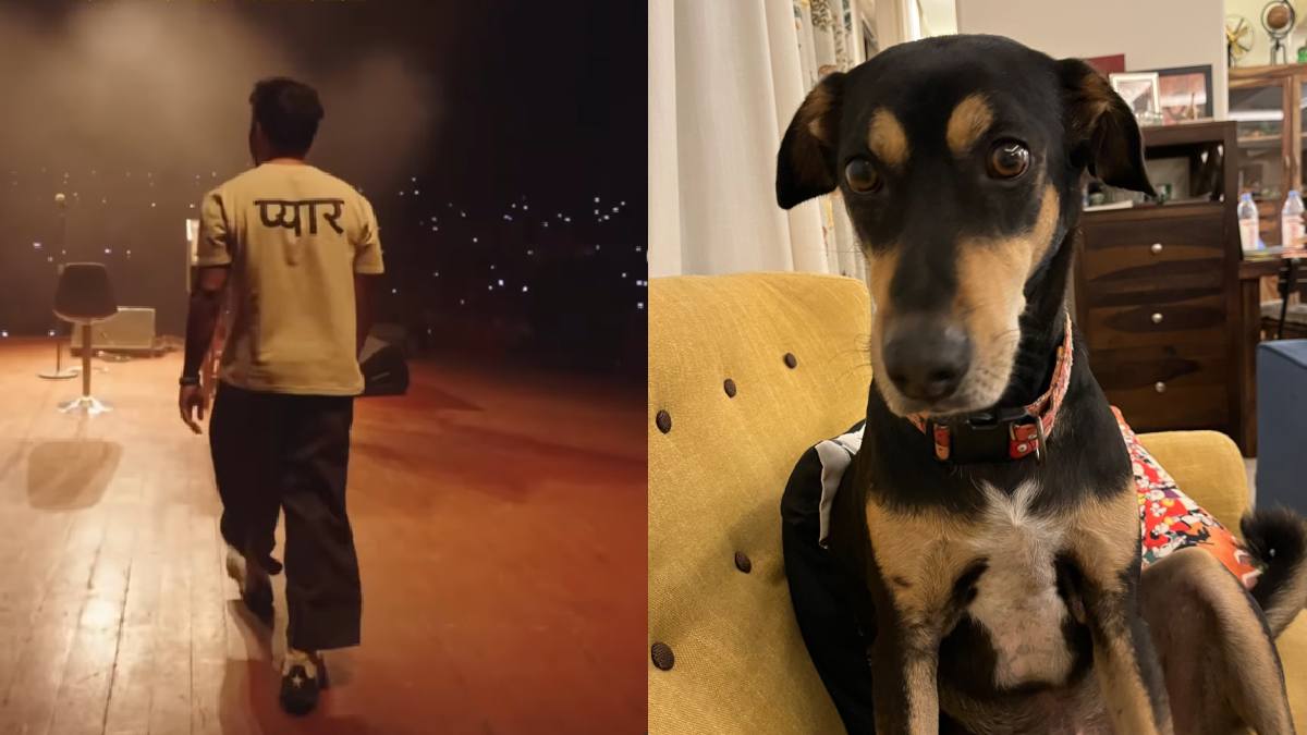 रोबोडॉग मामले की खिल्ली उड़ाने में पीछे नहीं रहे फेमस एक्टर, पेट डॉग की फोटो दिखाकर बोले- इसे गलगोटिया यूनिवर्सिटी ने नहीं बनाया