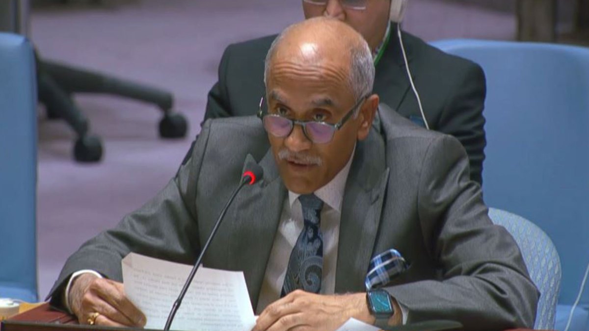 भारत ने UNSC में उठाई अफगानिस्तान के लिए आवाज, पाकिस्तानी एयरस्ट्राइक की निंदा, क्रिकेट का भी जिक्र