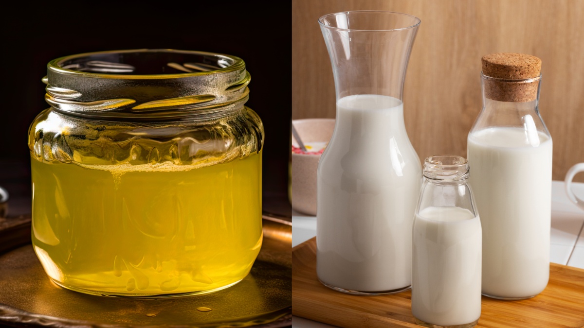 पैकेट वाले दूध से घर पर बना लें देसी घी, मिक्सर में ग्राइंड कर मिनटों में बनाएं, नोट करें स्टेप बाय स्टेप प्रोसेस