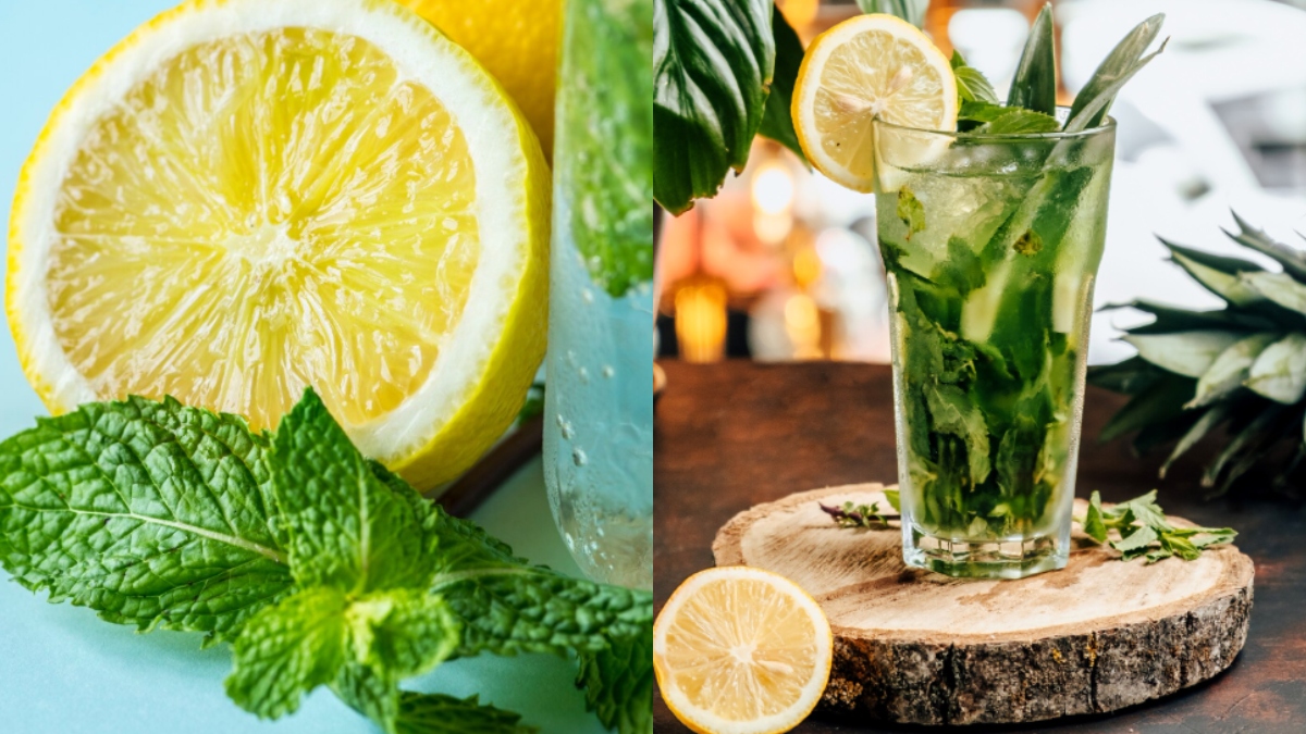 नींबू और पुदीने से बनाएं शरीर-दिमाग को तरोताजा कर देने वाली ड्रिंक, गर्मियों के लिए परफेक्ट, बेहद आसान है रेसिपी