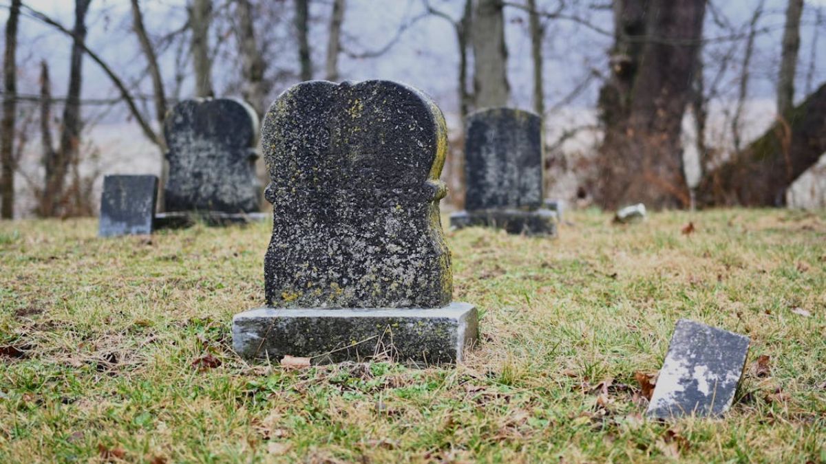          पाकिस्तान में कब्रिस्तान के लिए कम पड़ रही जमीन! लोगों का दर्द सुन भर आएंगी आंखें          