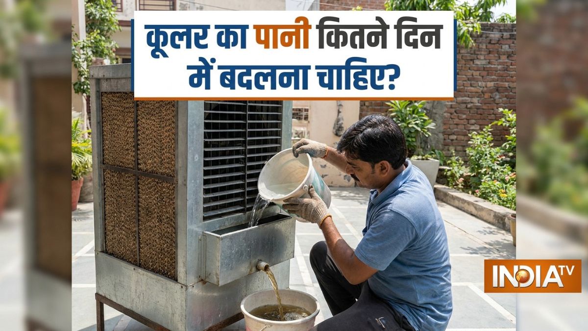 कूलर का पानी कितने दिन में बदलना चाहिए? इतने दिन में बदलने से नहीं होंगे मच्छर, मक्खी