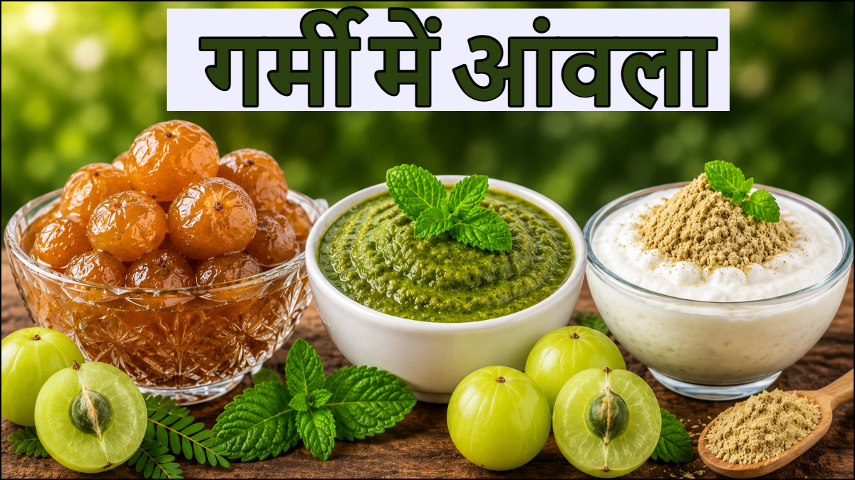 गर्मी में आंवला कैसे खाना चाहिए, जानिए इसे खाने से क्या फायदे मिलते हैं, कैसी होती है आंवला की तासीर