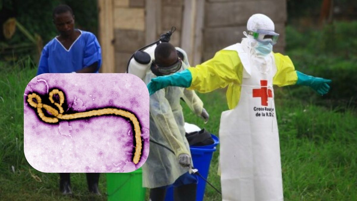 Hantavirus की चर्चा के बीच इस वायरस का कहर! संक्रमण से हो गई 80 लोगों की मौत, ग्लोबल हेल्थ इमरजेंसी घोषित