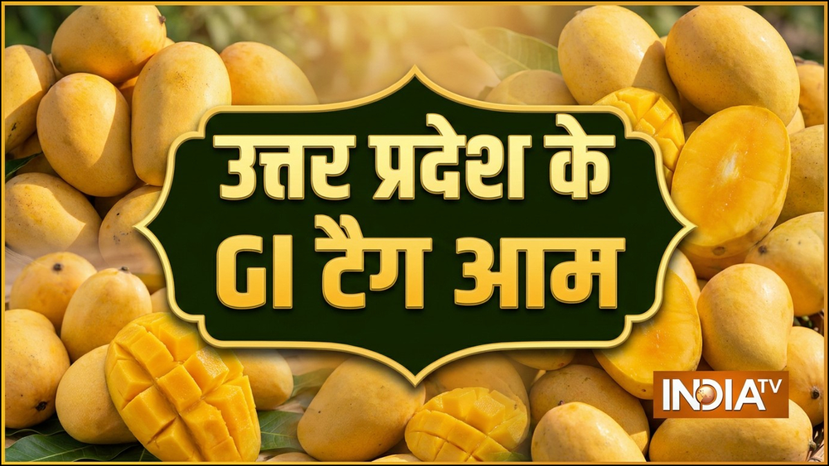 उत्तर प्रदेश के इन आम को मिल चुका है GI टैग, देश विदेश में है मांग, शहद सा मीठा होता है स्वाद