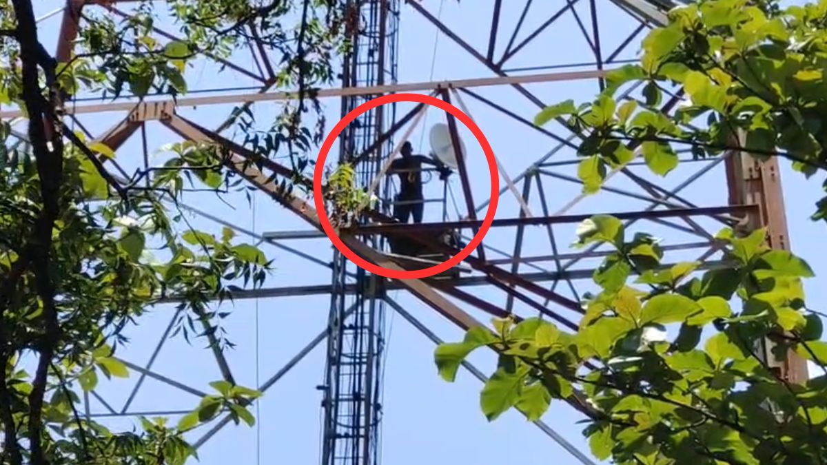          मोबाइल टावर पर चढ़ा पूर्व ओएसएपी कॉन्स्टेबल, नौकरी बहाली और मां के इलाज की मांग को लेकर 15 घंटे चला हाईवोल्टेज ड्रामा           