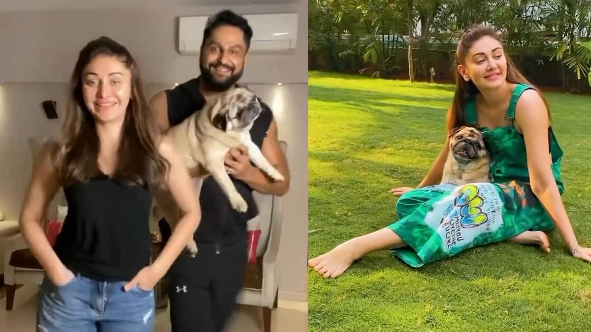 शेफाली जरीवाला के निधन के 13 महीने बाद पराग त्यागी पर फिर टूटा दुखों का पहाड़, अब पेट डॉग सिम्बा की हुई मौत