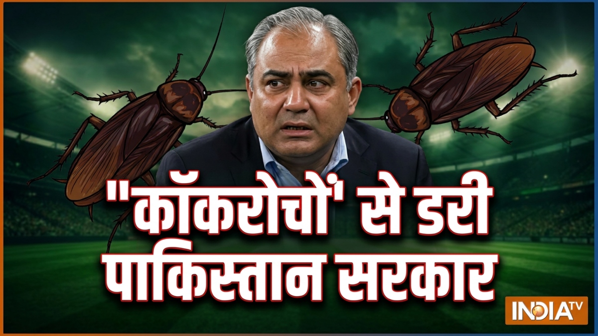 भारत के 'कॉकरोचों' से क्यों डरी पाकिस्तान सरकार? मंत्री बोले-ये एकजुट हुए तो सब उलट पुलट कर देंगे