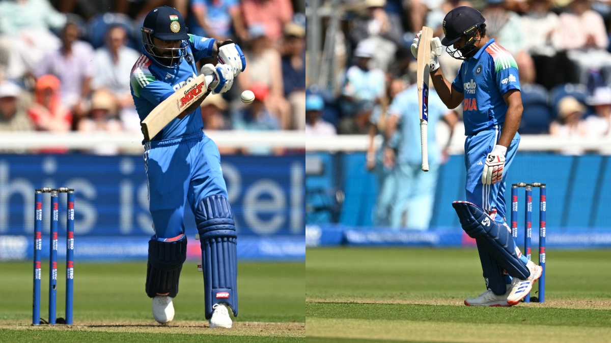 The Art of Baking: From Classic Bread to Artisan Pastries
