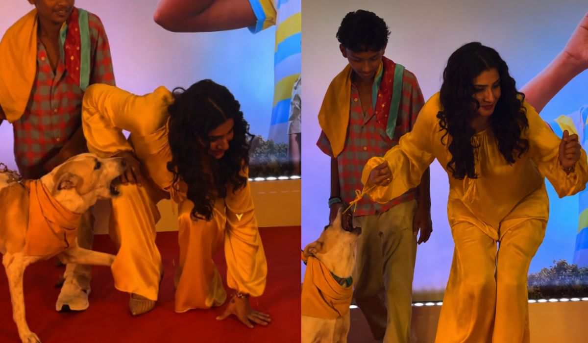 'ओह माय डॉग' स्क्रीनिंग के दौरान रवीना टंडन पर झपटा डॉगी, शांति से संभाली स्थिति, एक्ट्रेस की सूझबूझ ने जीता का दिल
