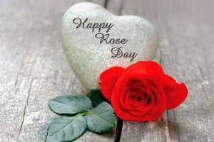 Happy Rose Day 2022