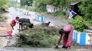 चक्रवाती तूफान 'दाना' से बचने आश्रय स्थल गई थी महिला, कार्डिएक अरेस्ट से चली गई जान