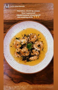 kriti kharbanda instagram story