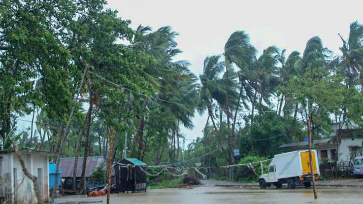 Trees sway as heavy gusty induced by super cyclone Amphan hit Rasgovindpur in Mayurbhanj, Odisha.