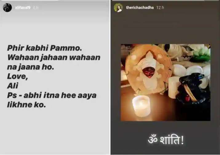 रिचा चड्ढा ने शेयर किया पोस्ट