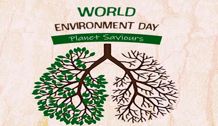 World Environment Day 2020: घर में रहकर आप इस तरह मनाएं विश्व पर्यावरण दिवस