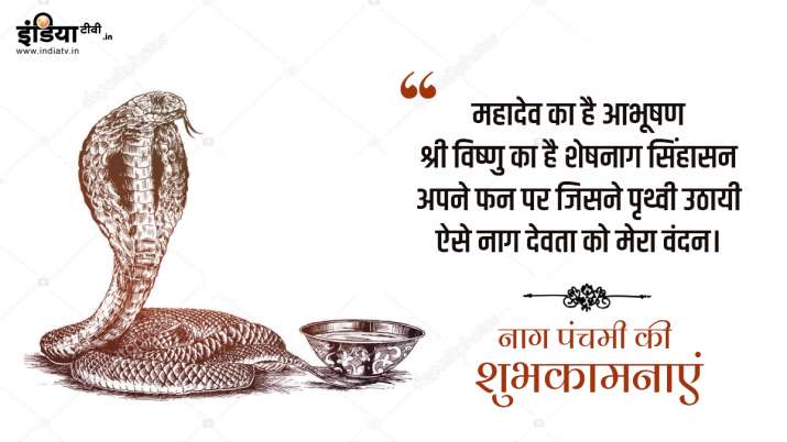 Happy Nag Panchami 2020: अपनों को इन तस्वीरों और मैसेज के जरिए भेजें नाग पंचमी की शुभकामनाएं 