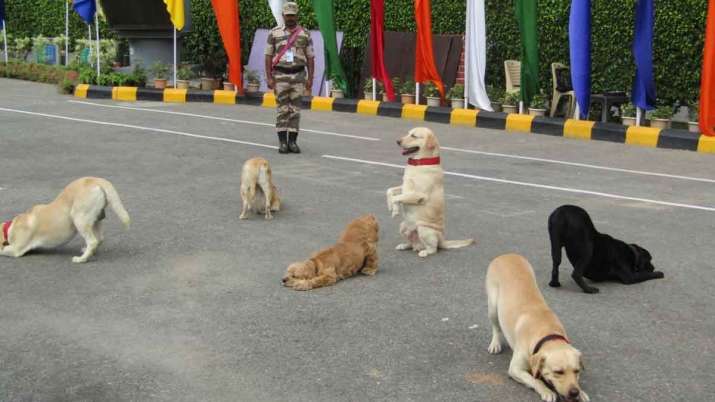 'मन की बात': ये हैं कुत्तों की सबसे बेहतरीन Indian Breed, पीएम मोदी ने लोगों को इन्हें पालने की दी सलाह